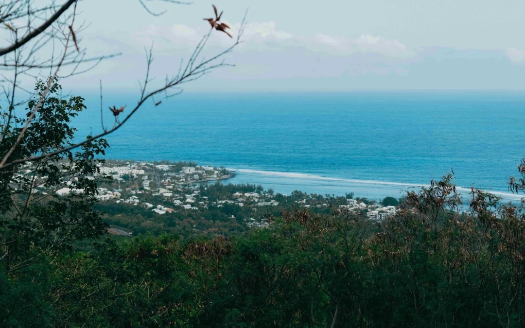 Autour de Saint‑Leu : 5 idées d’excursions nature depuis votre logement